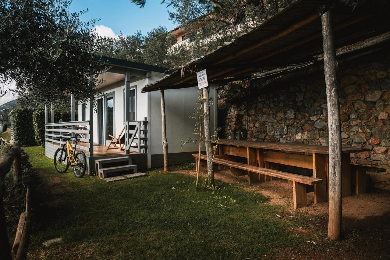 Agriturismo Rose Di Pietra 피에트라리구레 외부 사진