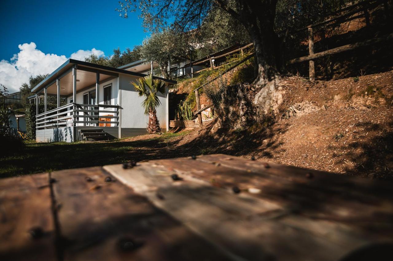 Agriturismo Rose Di Pietra 피에트라리구레 외부 사진