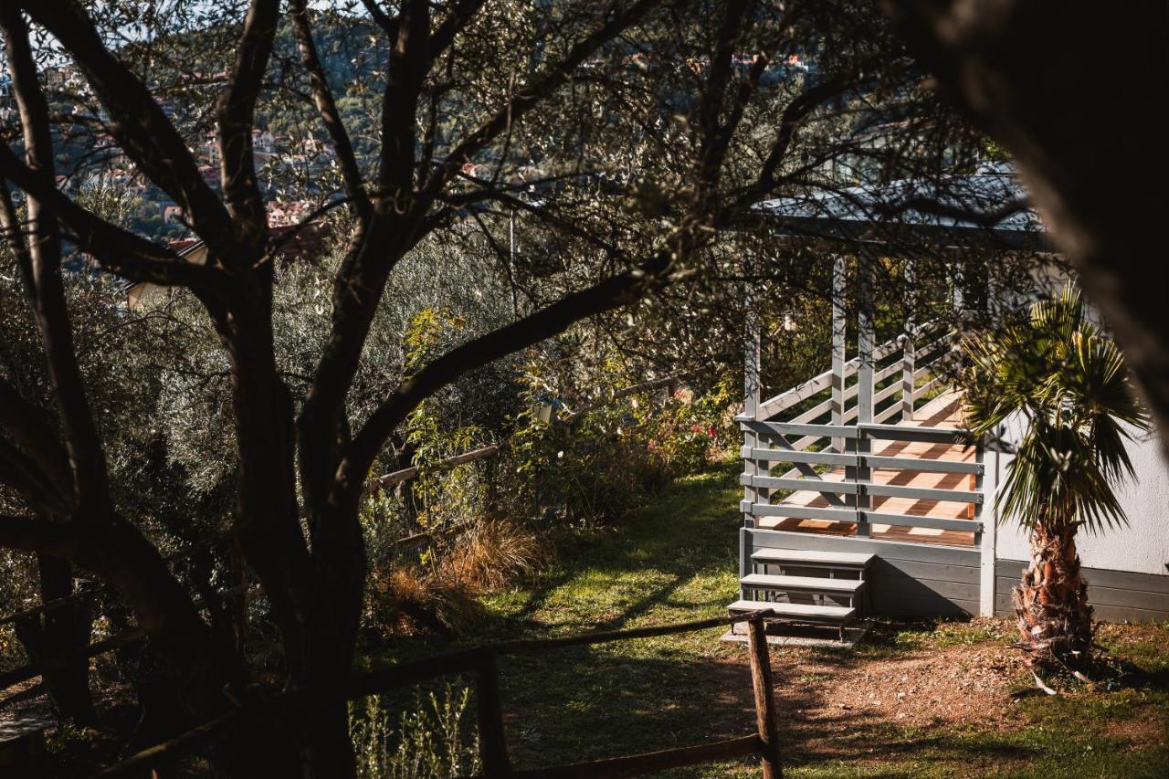 Agriturismo Rose Di Pietra 피에트라리구레 외부 사진
