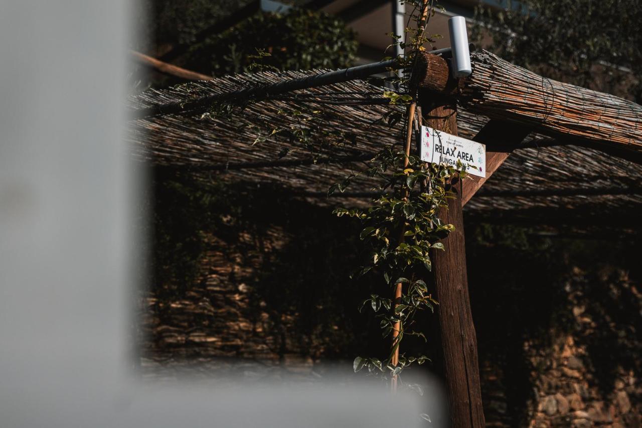 Agriturismo Rose Di Pietra 피에트라리구레 외부 사진