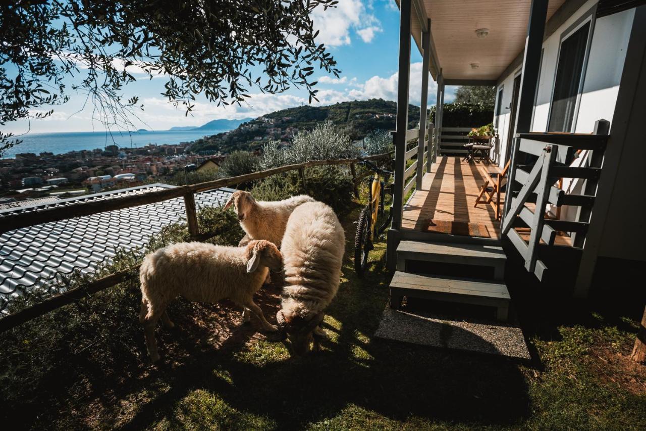 Agriturismo Rose Di Pietra 피에트라리구레 외부 사진