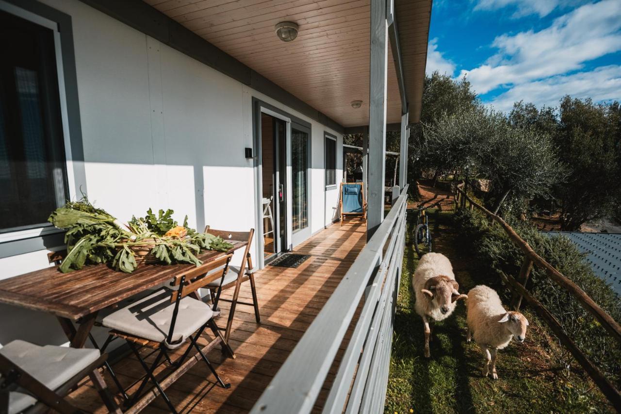 Agriturismo Rose Di Pietra 피에트라리구레 외부 사진