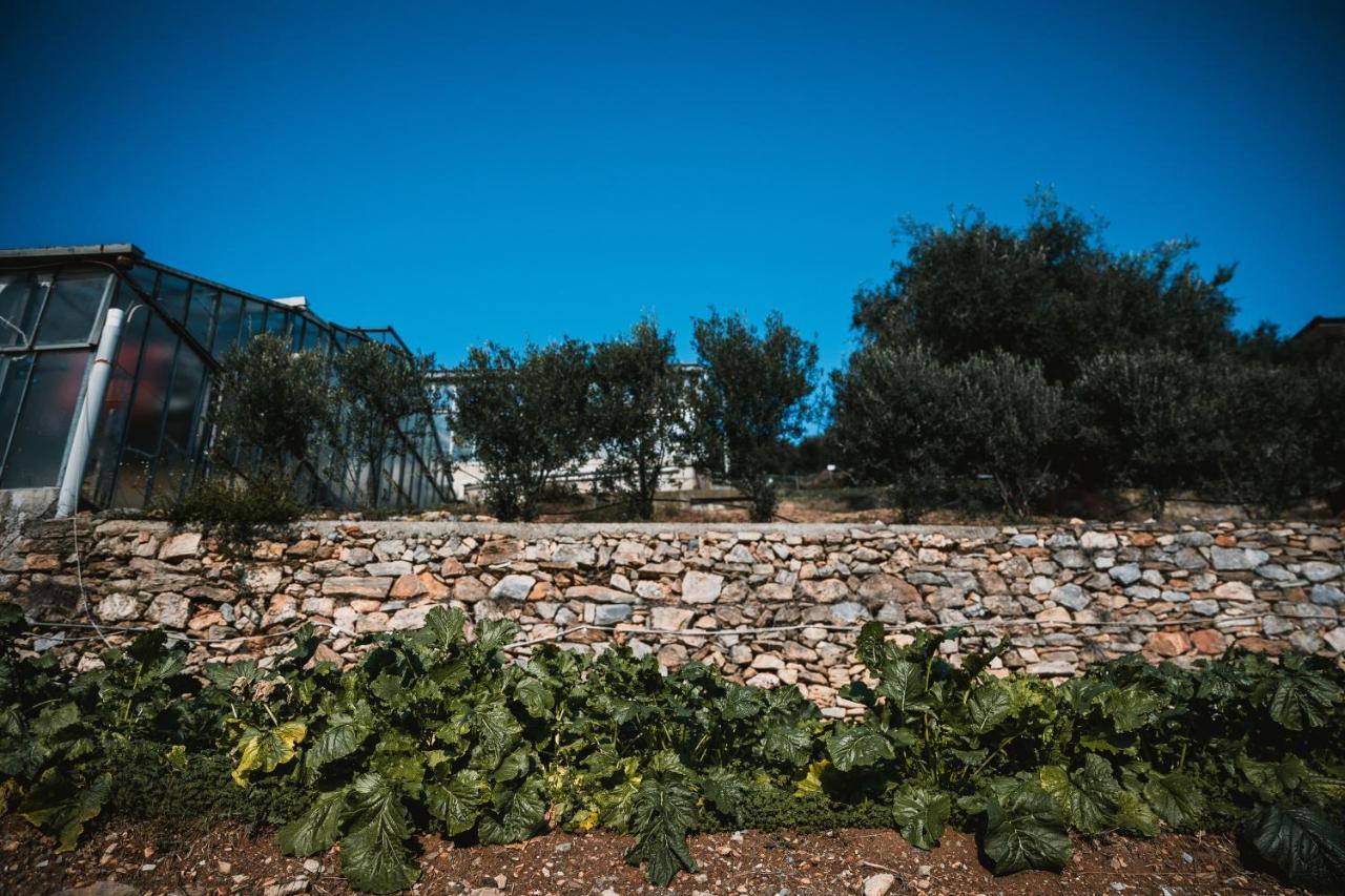Agriturismo Rose Di Pietra 피에트라리구레 외부 사진