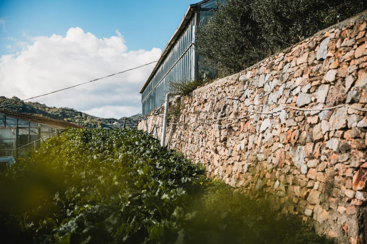Agriturismo Rose Di Pietra 피에트라리구레 외부 사진